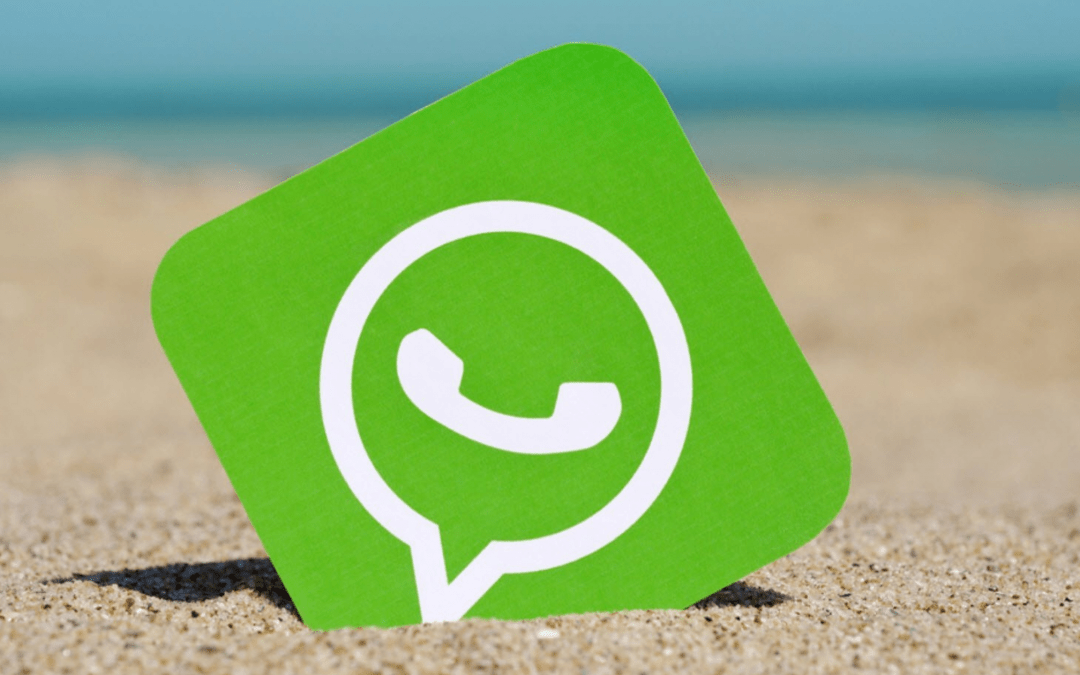 WhatsApp : choisissez qui peut regarder les infos de votre profil !